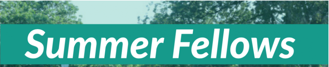 Summer Fellows